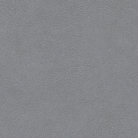 3211 Пепельный