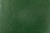 Эксклюзив зеленый