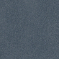 2412  Серебряный