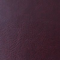 2726 Баклажанный