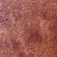 2825 Коричневый