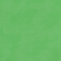 2917  Светло-зеленый