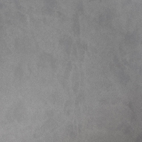 2211 Пепельный