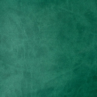 2216 Темно-зеленый