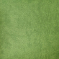 2217 Светло-зеленый