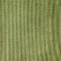 2117 Светло-зеленый