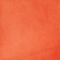 2221 Оранжевый