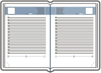 Недатированный 4D